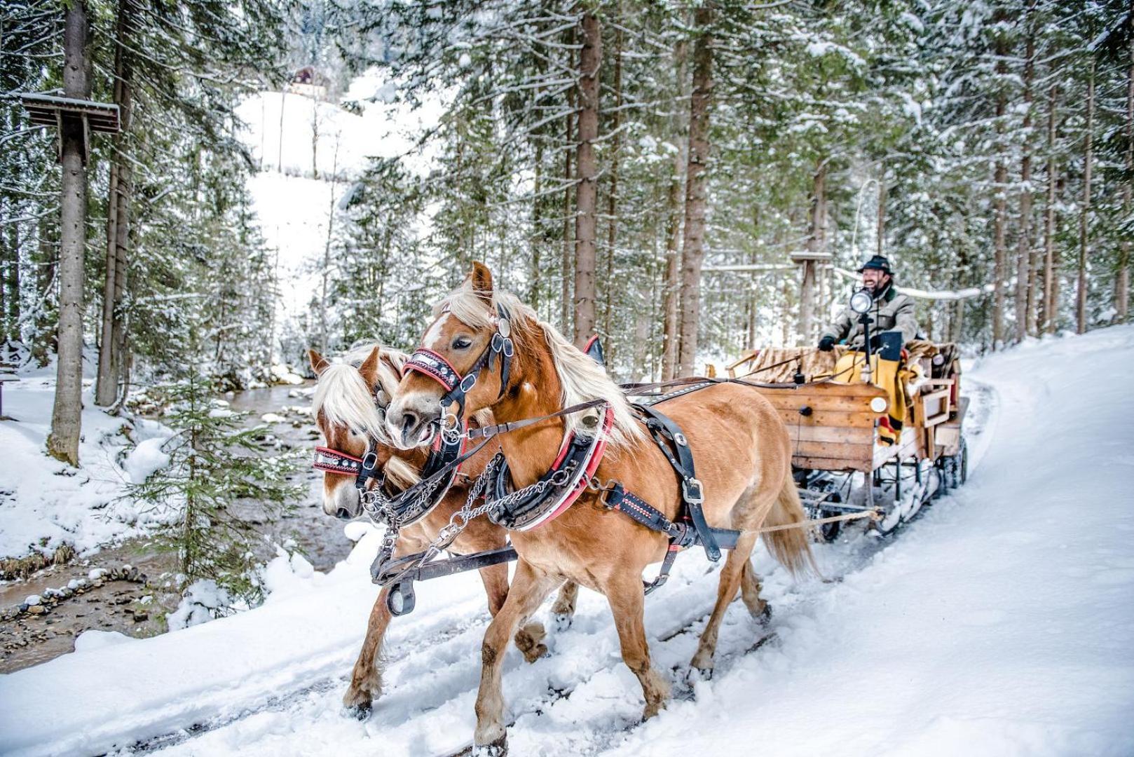 Hotel Sportalmmm, Hoch-Genuss (Adults Only) Zauchensee Εξωτερικό φωτογραφία